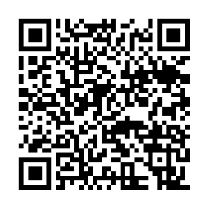 Lien vers votre campagne QRCode - Collecte de fonds