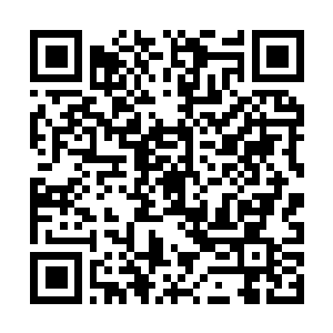 Lien vers votre campagne QRCode - Collecte de fonds
