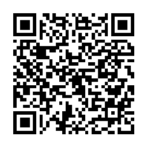 Lien vers votre campagne QRCode - Collecte de fonds