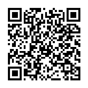 Lien vers votre campagne QRCode - Collecte de fonds