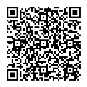 Lien vers votre campagne QRCode - Collecte de fonds