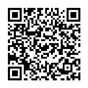 Lien vers votre campagne QRCode - Collecte de fonds