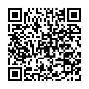 Lien vers votre campagne QRCode - Collecte de fonds