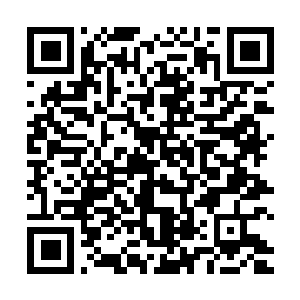 Lien vers votre campagne QRCode - Collecte de fonds