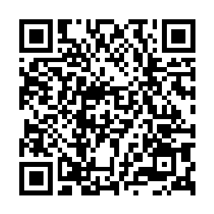 Lien vers votre campagne QRCode - Collecte de fonds