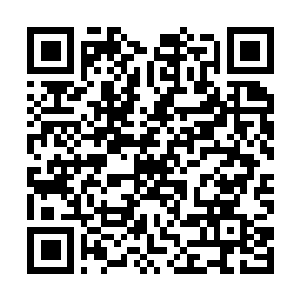 Lien vers votre campagne QRCode - Collecte de fonds