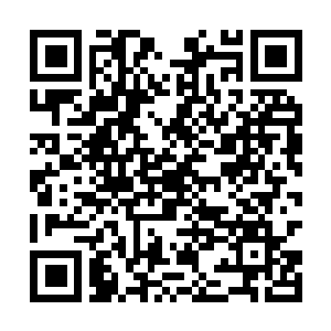 Lien vers votre campagne QRCode - Collecte de fonds