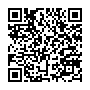 Lien vers votre campagne QRCode - Collecte de fonds