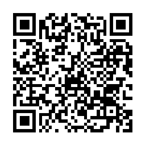 Lien vers votre campagne QRCode - Collecte de fonds