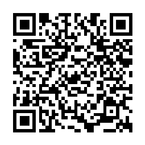 Lien vers votre campagne QRCode - Collecte de fonds
