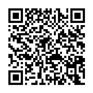 Lien vers votre campagne QRCode - Collecte de fonds