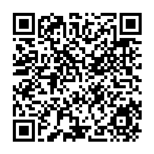 Lien vers votre campagne QRCode - Collecte de fonds