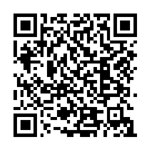 Lien vers votre campagne QRCode - Collecte de fonds