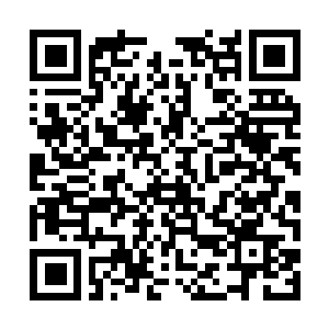 Lien vers votre campagne QRCode - Collecte de fonds