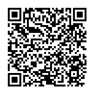 Lien vers votre campagne QRCode - Collecte de fonds