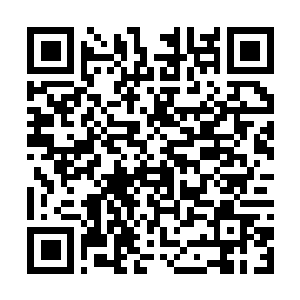 Lien vers votre campagne QRCode - Collecte de fonds
