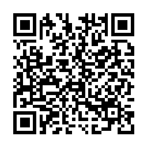 Lien vers votre campagne QRCode - Collecte de fonds