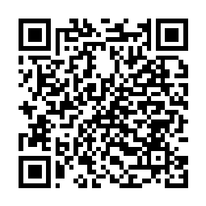 Lien vers votre campagne QRCode - Collecte de fonds