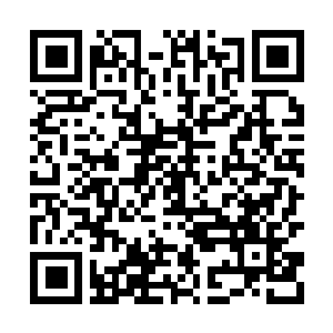 Lien vers votre campagne QRCode - Collecte de fonds