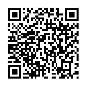 Lien vers votre campagne QRCode - Collecte de fonds