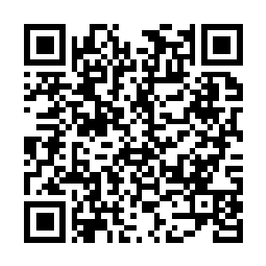 Lien vers votre campagne QRCode - Collecte de fonds