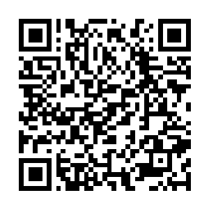 Lien vers votre campagne QRCode - Collecte de fonds
