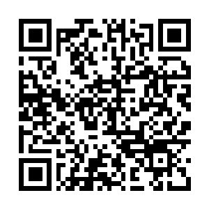 Lien vers votre campagne QRCode - Collecte de fonds