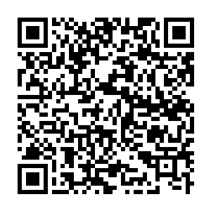 Lien vers votre campagne QRCode - Collecte de fonds