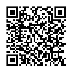 Lien vers votre campagne QRCode - Collecte de fonds