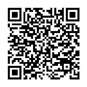 Lien vers votre campagne QRCode - Collecte de fonds