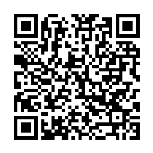Lien vers votre campagne QRCode - Collecte de fonds