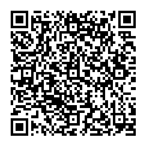 Lien vers votre campagne QRCode - Collecte de fonds