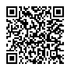 Lien vers votre campagne QRCode - Collecte de fonds