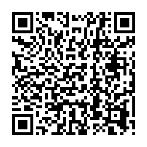 Lien vers votre campagne QRCode - Collecte de fonds