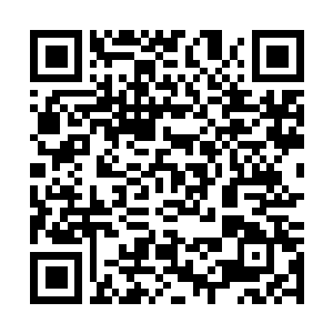 Lien vers votre campagne QRCode - Collecte de fonds