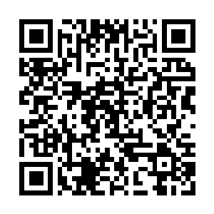 Lien vers votre campagne QRCode - Collecte de fonds