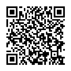 Lien vers votre campagne QRCode - Collecte de fonds