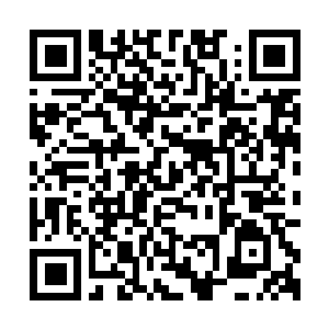 Lien vers votre campagne QRCode - Collecte de fonds