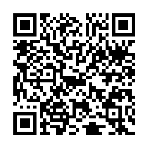 Lien vers votre campagne QRCode - Collecte de fonds