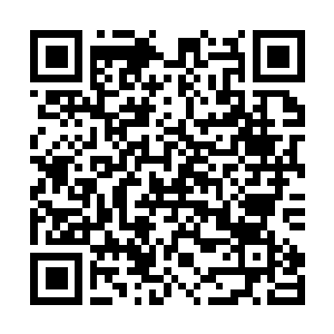 Lien vers votre campagne QRCode - Collecte de fonds