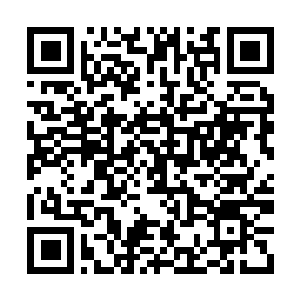 Lien vers votre campagne QRCode - Collecte de fonds