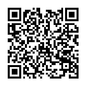 Lien vers votre campagne QRCode - Collecte de fonds