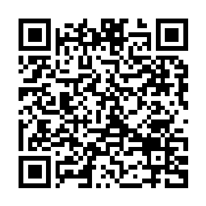 Lien vers votre campagne QRCode - Collecte de fonds