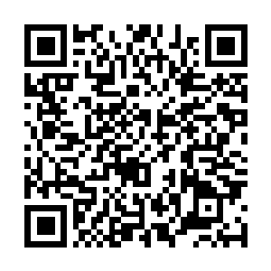 Lien vers votre campagne QRCode - Collecte de fonds