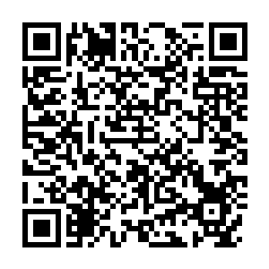 Lien vers votre campagne QRCode - Collecte de fonds