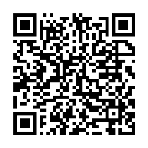 Lien vers votre campagne QRCode - Collecte de fonds