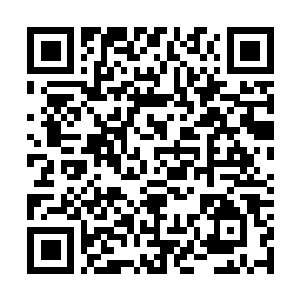 Lien vers votre campagne QRCode - Collecte de fonds