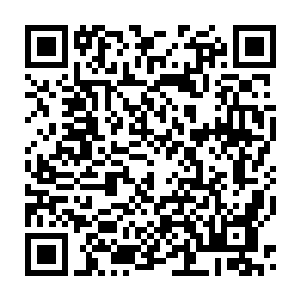 Lien vers votre campagne QRCode - Collecte de fonds