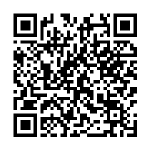 Lien vers votre campagne QRCode - Collecte de fonds