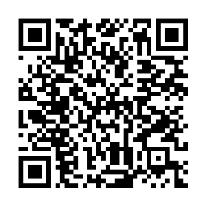 Lien vers votre campagne QRCode - Collecte de fonds